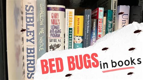 Do Bed Bugs Hide in Books? And Other Mysteries to Explore